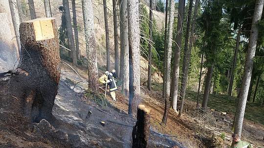 Waldbrand