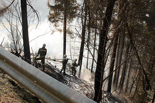 Waldbrand Nikolsdorf