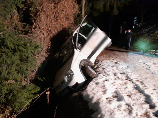 Fahrzeugbergung Nussdorfer Berg
